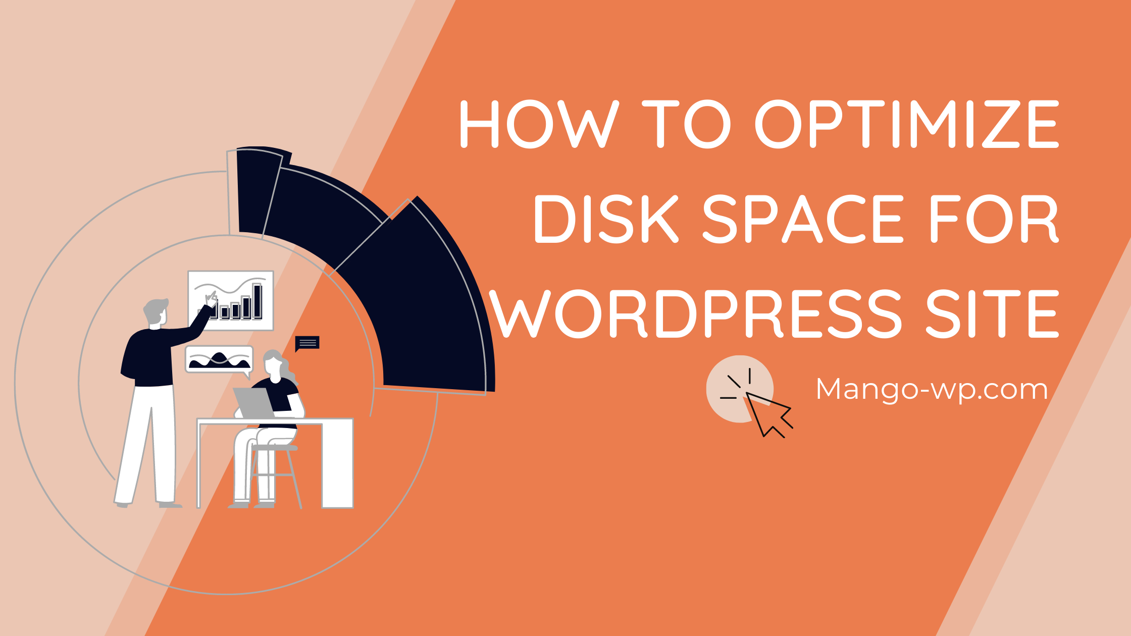 HOW TO OPTIMIZE Disk space for WordPress site